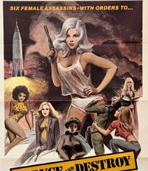 Seduce and Destroy Seduce and Destroy is the later retitle of Ted V. Mikels' The Doll Squad , and is a 1973 low-budget spy/action exploitation film written, produced, edited and...